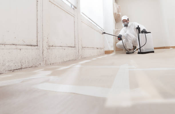 24/7 Emergency Mold Testing experts in Pottersdale, PA