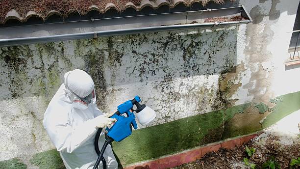 Trusted Mold Testing service in Pottersdale, PA - Cheap Mold Removal